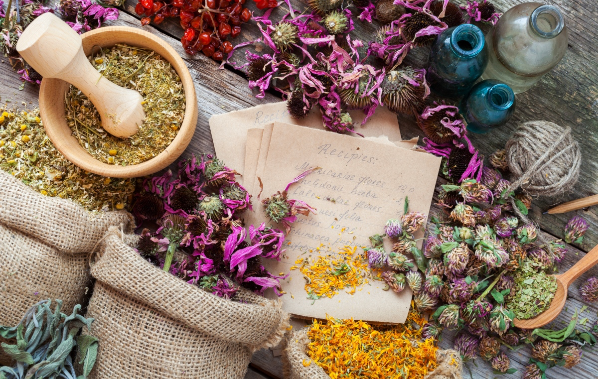 Ancient Medicinal Plants Poised to Illuminate Bali’s Wellness Tourism Sector