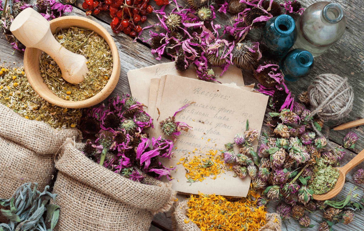 Ancient Medicinal Plants Poised to Illuminate Bali’s Wellness Tourism Sector